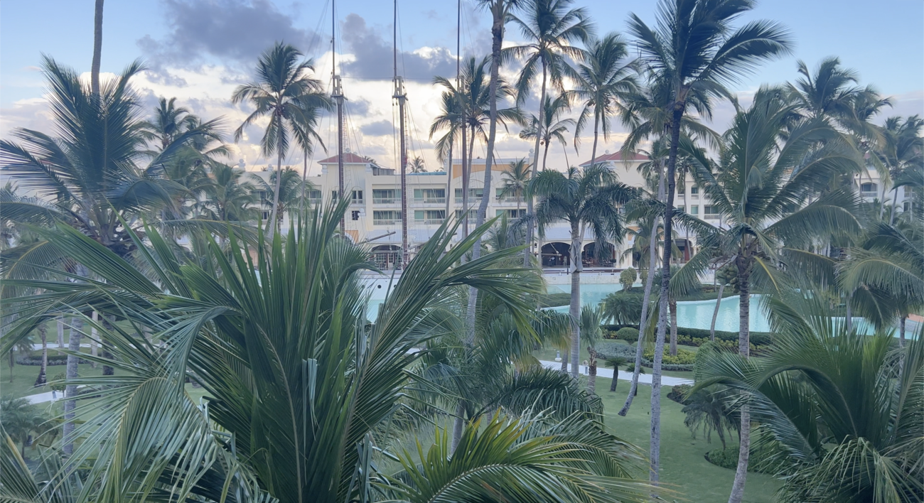 Palm trees at Iberostar resort in Punta Cana