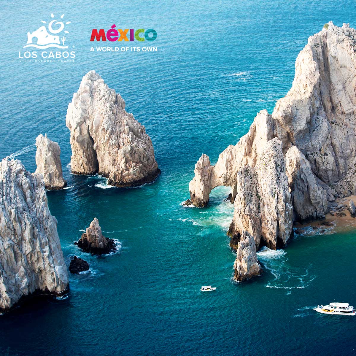 World-class cuisine, non-stop parties and whale watching are on tap in Los Cabo San Lucas.