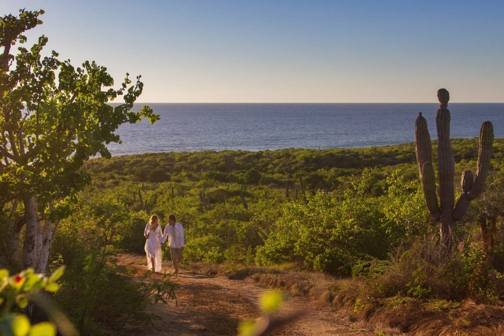 If you haven’t vacationed in Cabo before, you most likely have heard that it’s the go-to spot for most spring breakers. Many people aren’t aware that there are two Cabos: Cabo San Lucas and San José del Cabo united as Los Cabos Municipality. They are located on the southern tip of the Baja California Peninsula and are also known as “Land’s End”. Los Cabos are a different breed of Mexico which makes them even more special. Discover why vacationers spend the most time away from their resorts in Los Cabos.