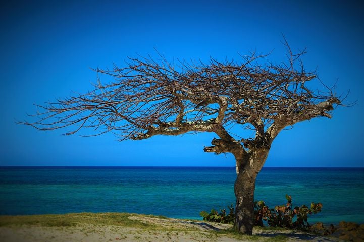 cuban beach