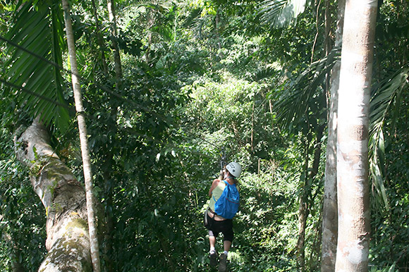 Woman zip lining into a forest.