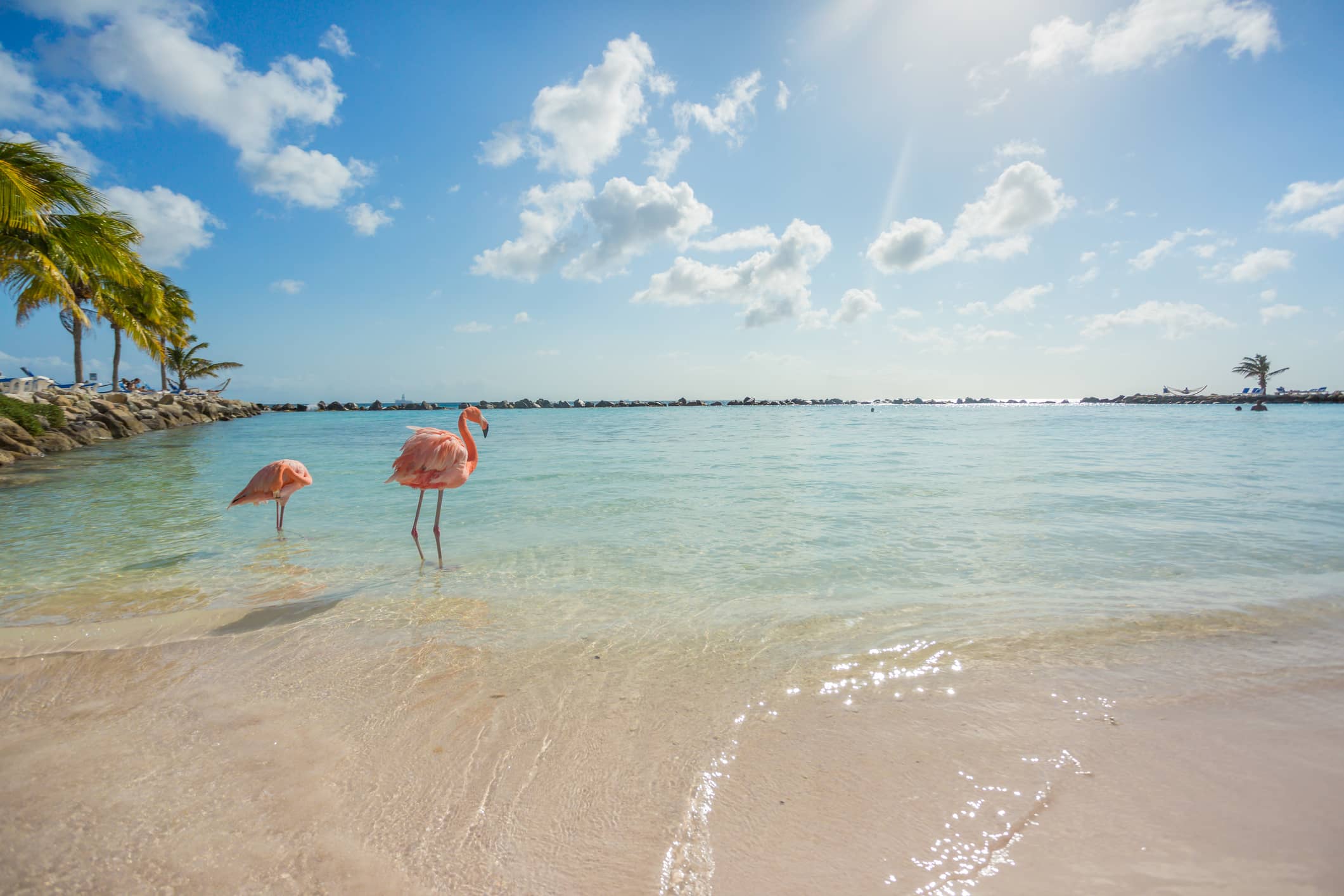 Beach in Aruba