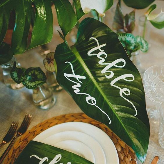 The Weddings by Funjet team is the most up to date on wedding trends that are hot for this upcoming season. For 2017, we have our eyes on everything green!