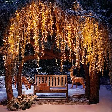 winter wedding ideas