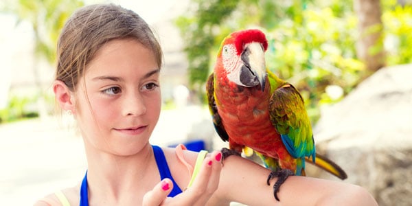 Girl holding parrott